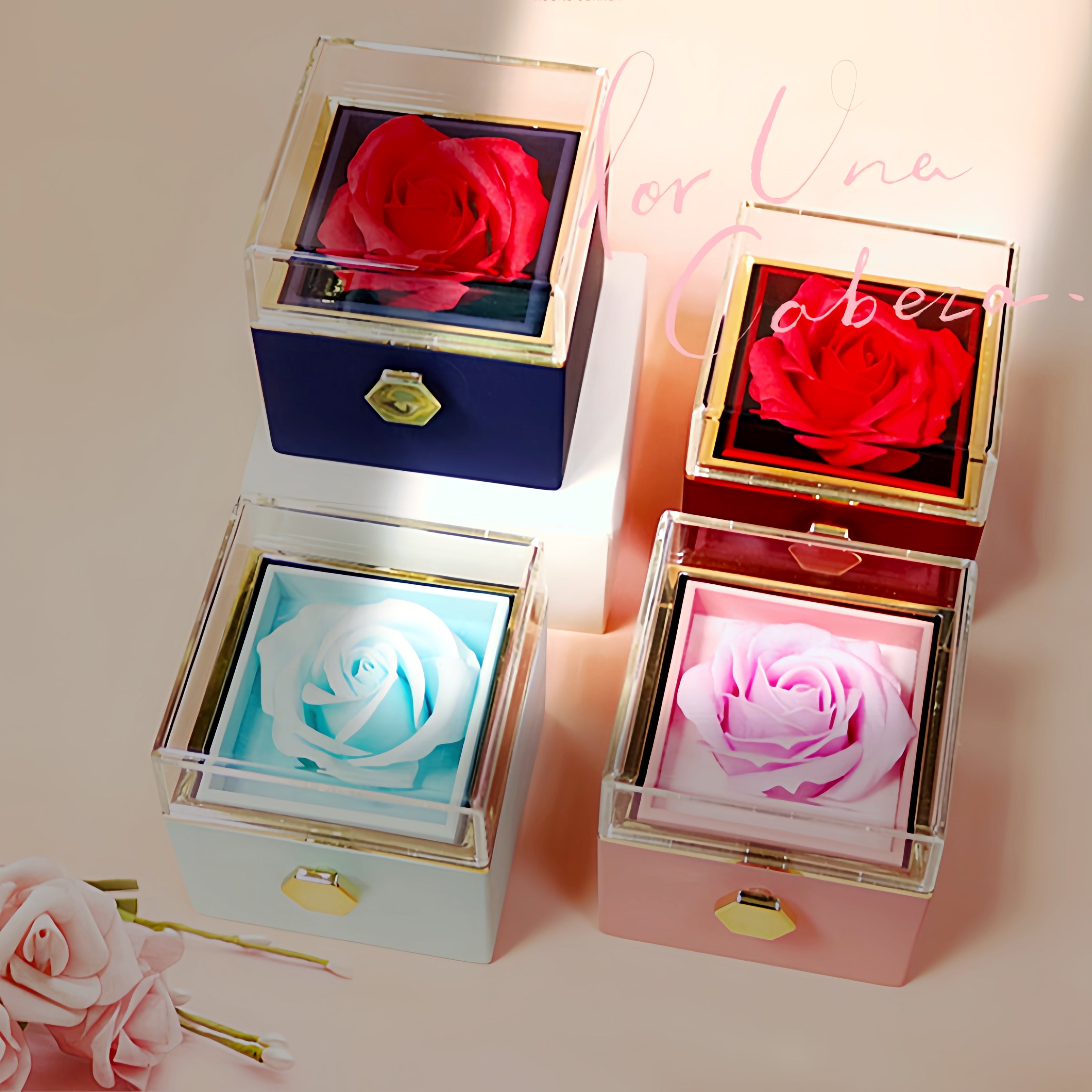 The Eternal Rotating Rose Box + Necklace